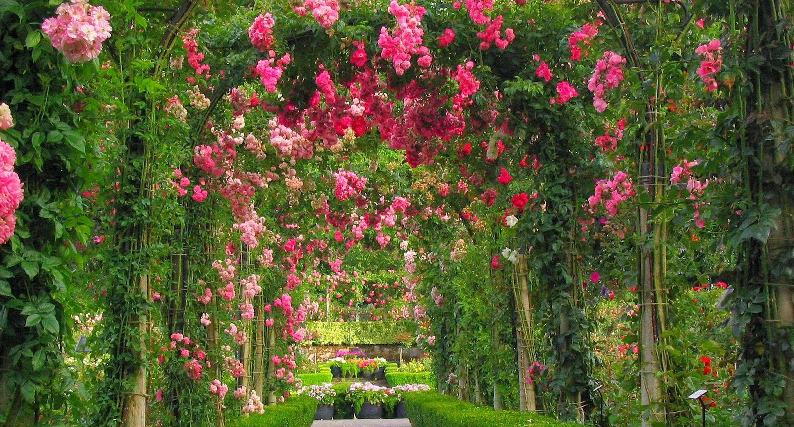 Chandigarh Rose Garden arch